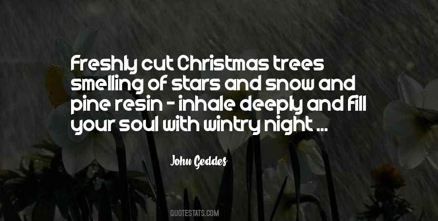 Snow Night Quotes #541822