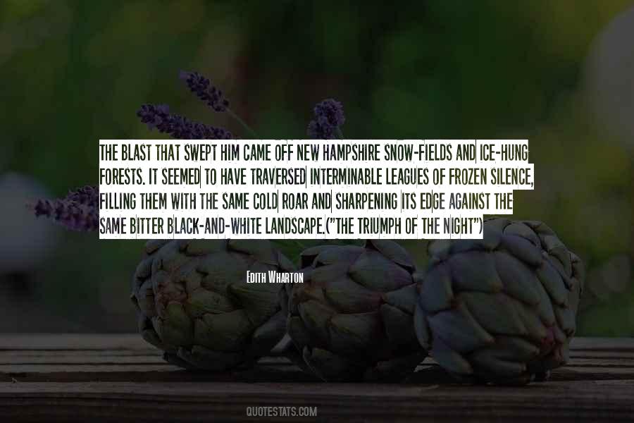 Snow Night Quotes #601084