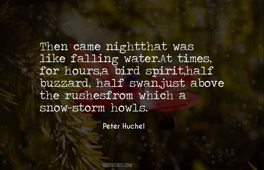 Snow Night Quotes #777508