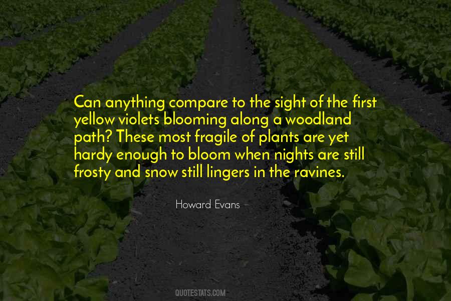 Snow Night Quotes #876387