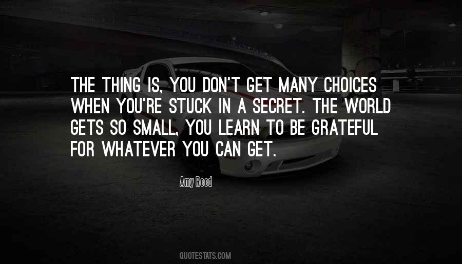 So Grateful For You Quotes #924143