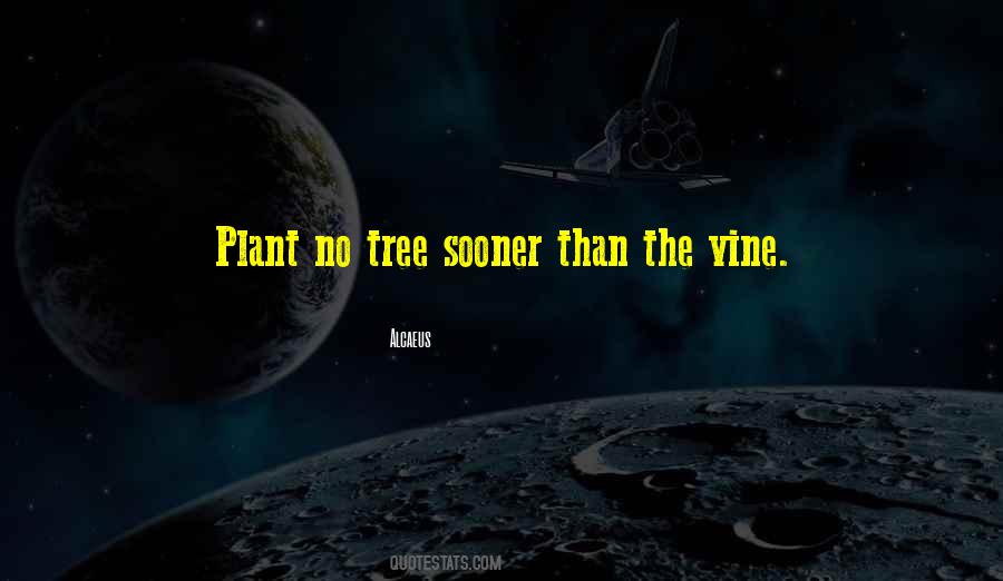 What Are Vine Quotes #176683