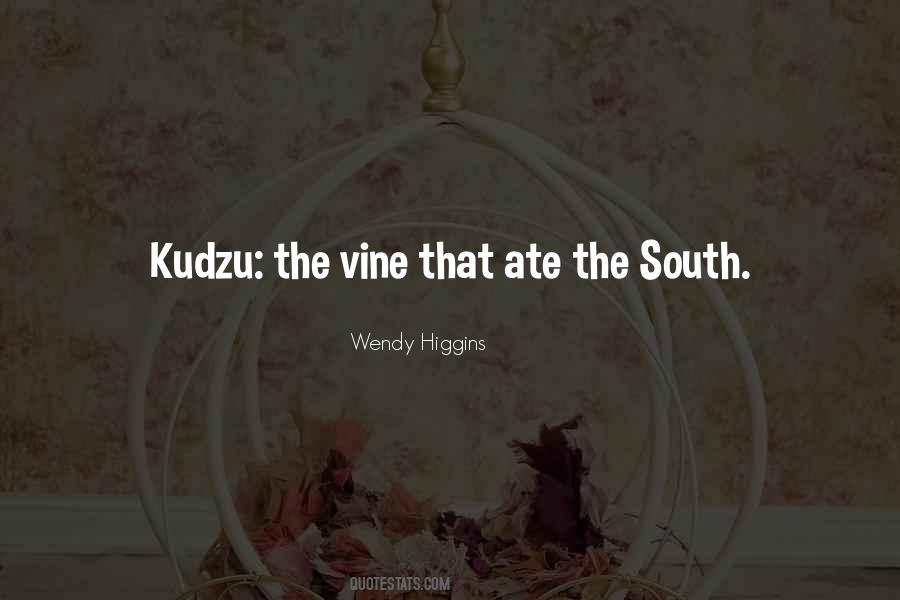 What Are Vine Quotes #23056