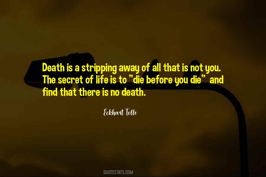 Death Before Life Quotes #556078