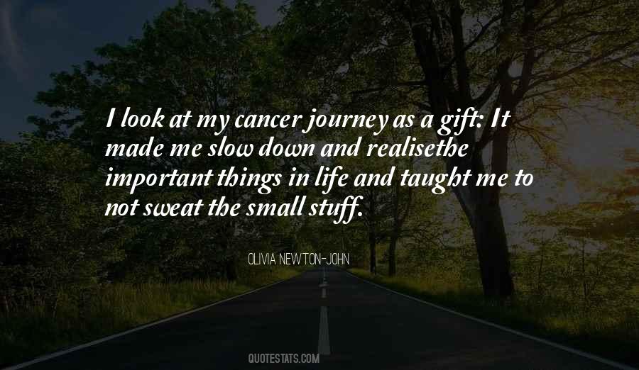 Quotes About Journey In Life #138250