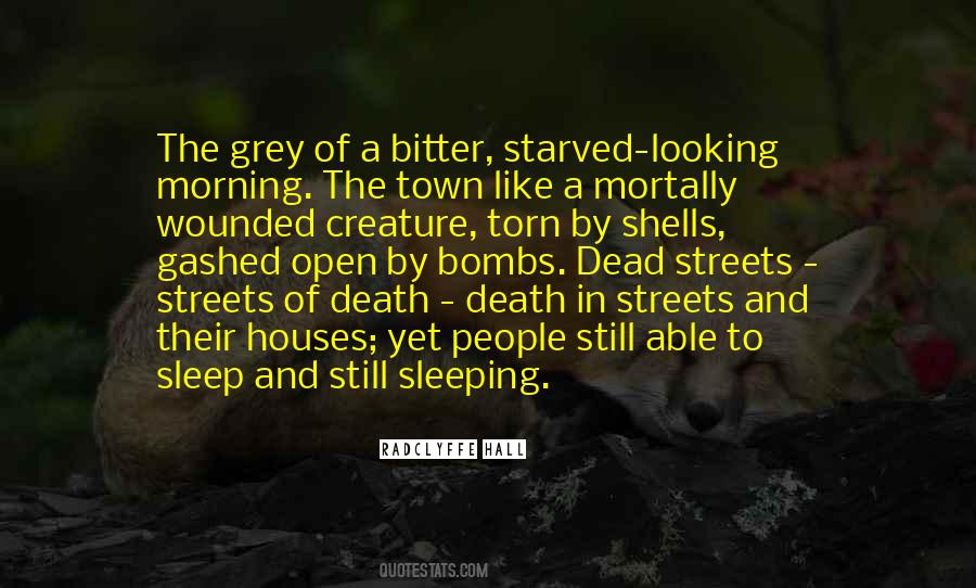 Death Comes To Town Quotes #1615509