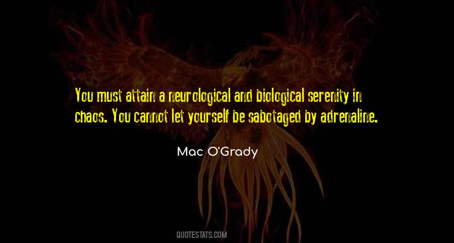 Relationship Soulmate Quotes #440015