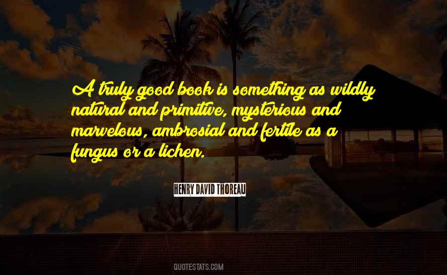 Mysterious Book Quotes #1260419