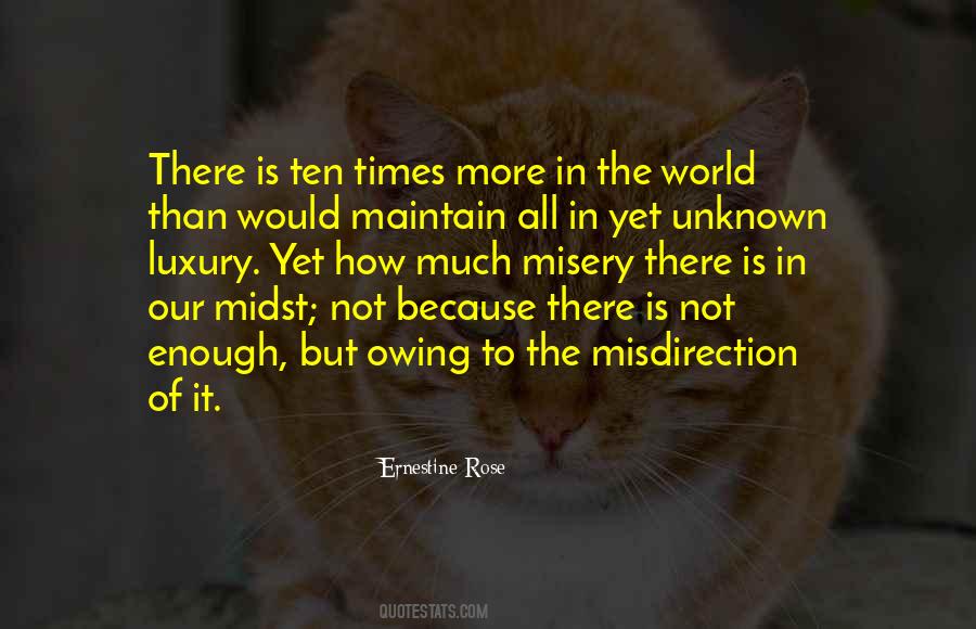 How Much Is Enough Quotes #1876735
