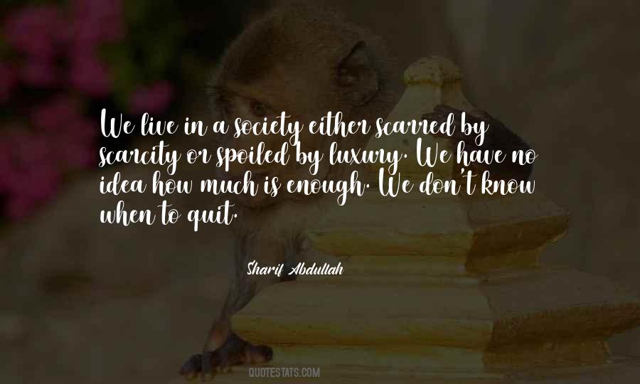 How Much Is Enough Quotes #424868