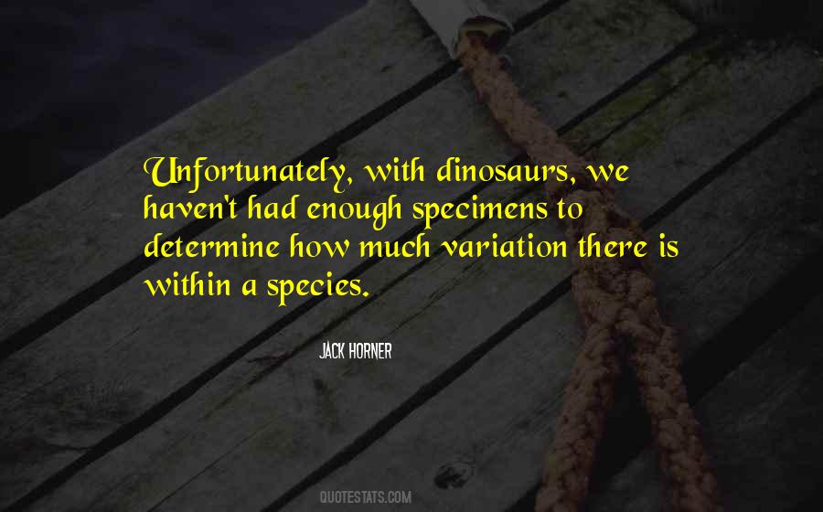 How Much Is Enough Quotes #995315