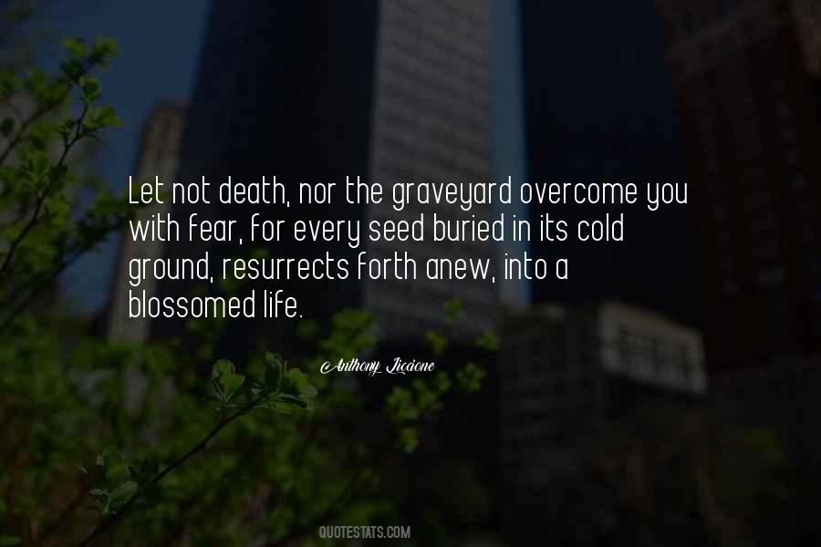 Death Graveyard Quotes #324636