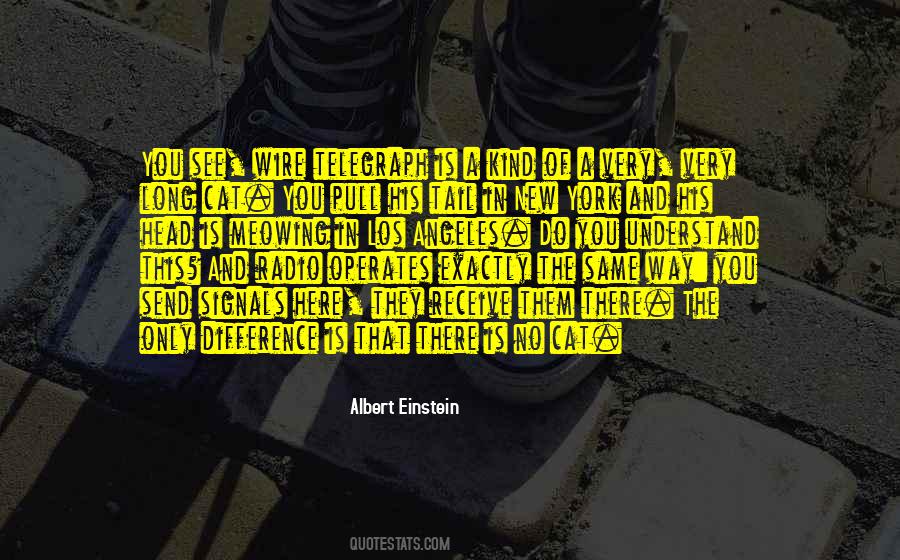 New Cat Quotes #10349