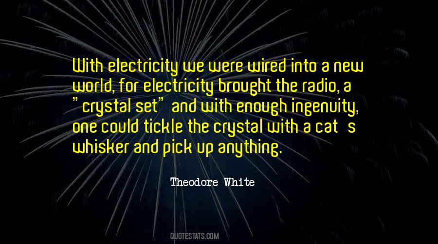 New Cat Quotes #1408429