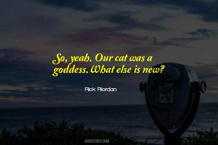 New Cat Quotes #659921
