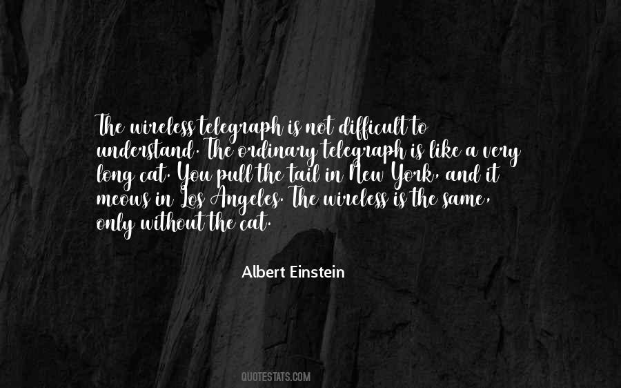 New Cat Quotes #787262
