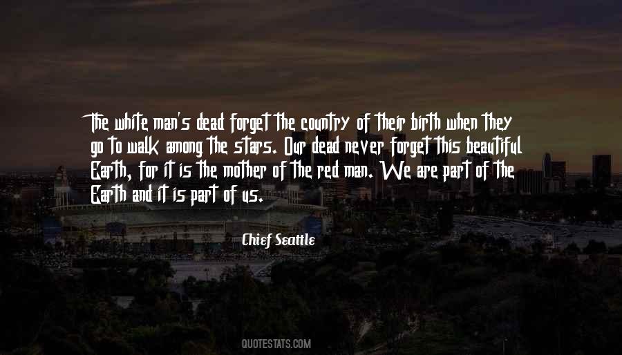 Death Is Beautiful Quotes #1615184