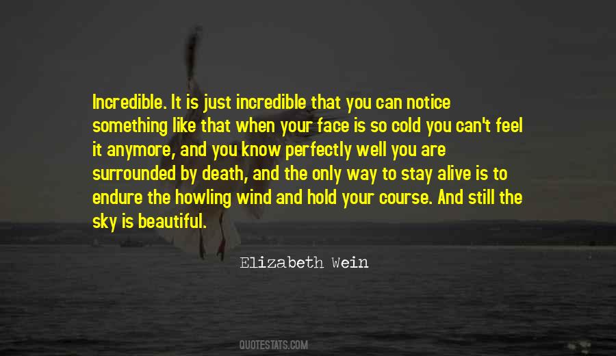 Death Is Beautiful Quotes #81141