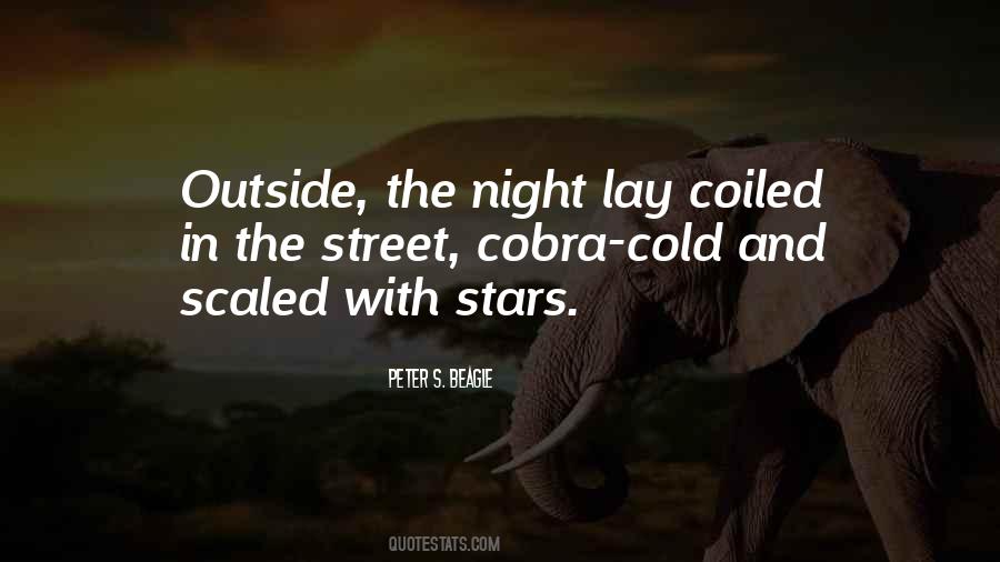 Night Street Quotes #1475051
