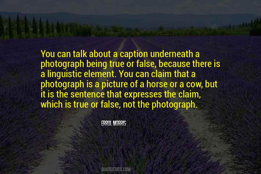 I Talk To Myself Picture Quotes #650718