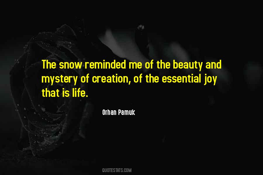 Beauty And Joy Quotes #1601560