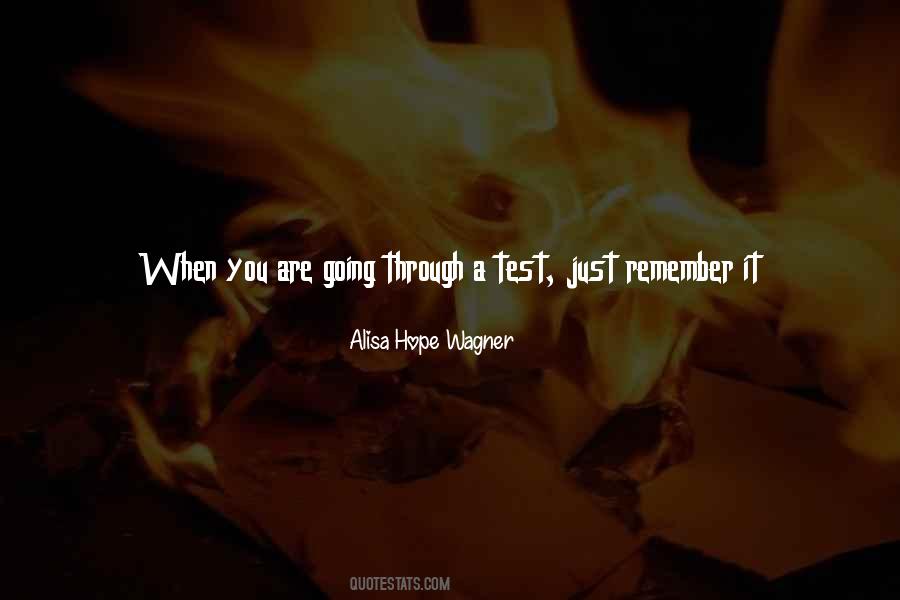 No Test No Testimony Quotes #773679