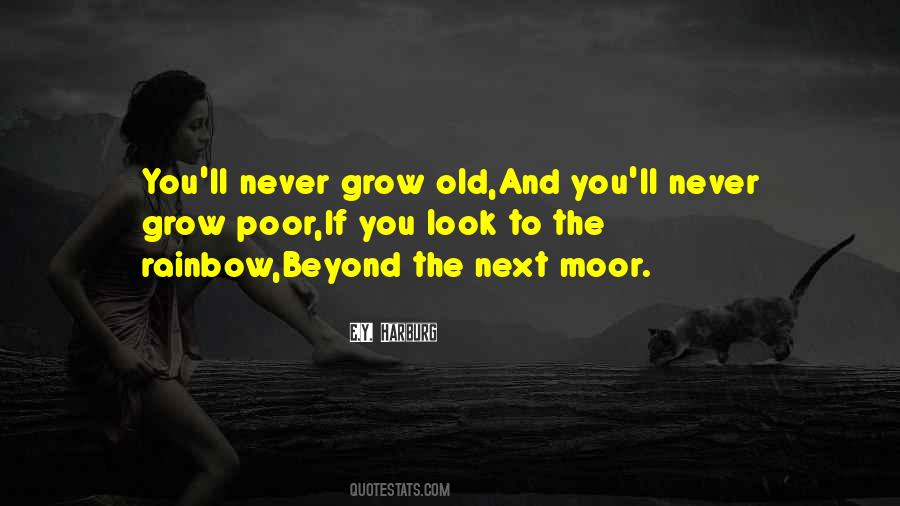 Look For The Rainbow Quotes #1652137
