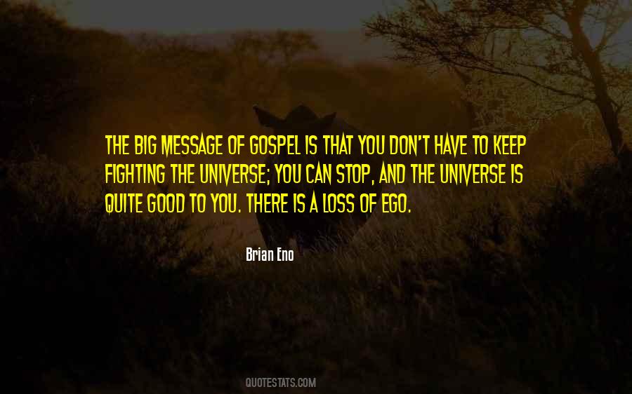 Message From The Universe Quotes #8458