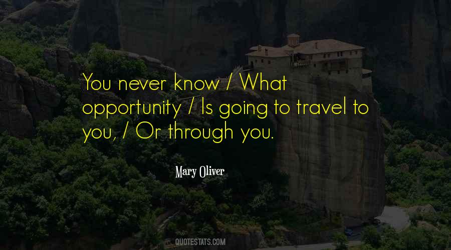 No One Knows What I Am Going Through Quotes #884711