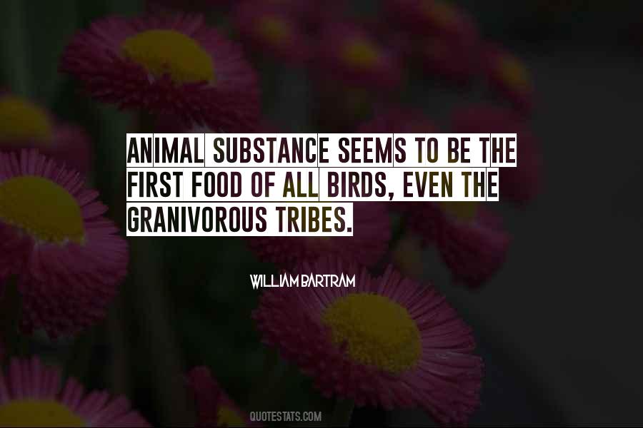 Birds Food Quotes #1432685