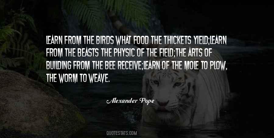 Birds Food Quotes #1566485