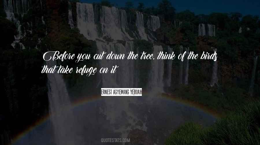 Birds Food Quotes #714029