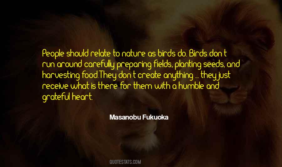 Birds Food Quotes #970012