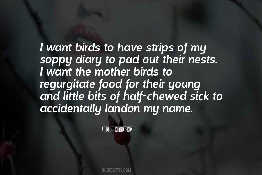 Birds Food Quotes #979145