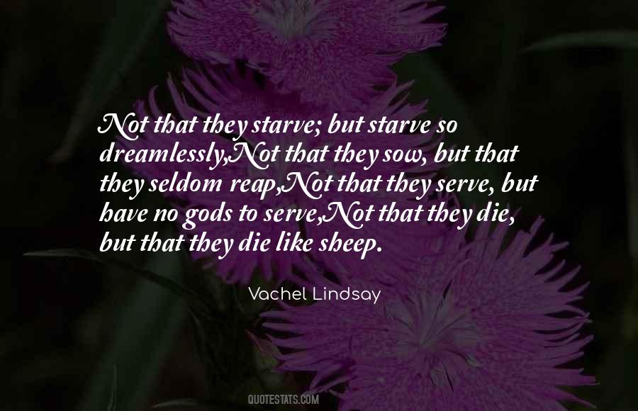 What You Sow Shall You Reap Quotes #940359