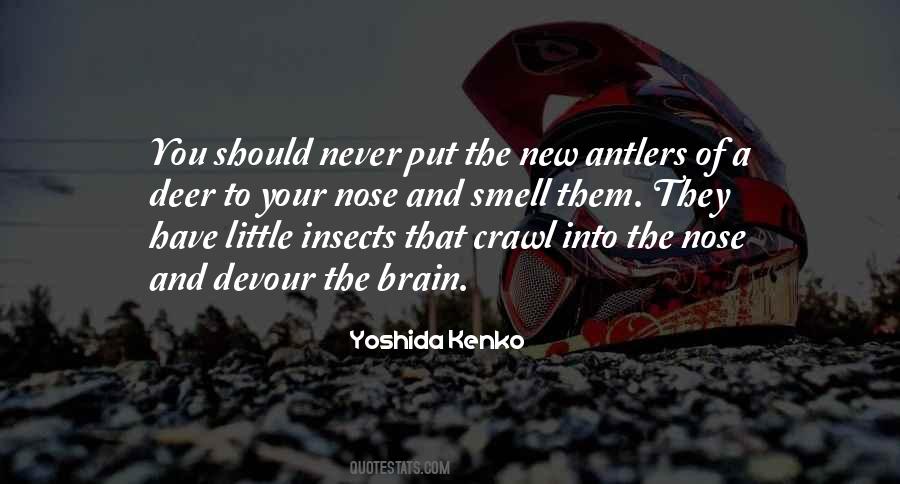 Nothing Is Random Quotes #33138