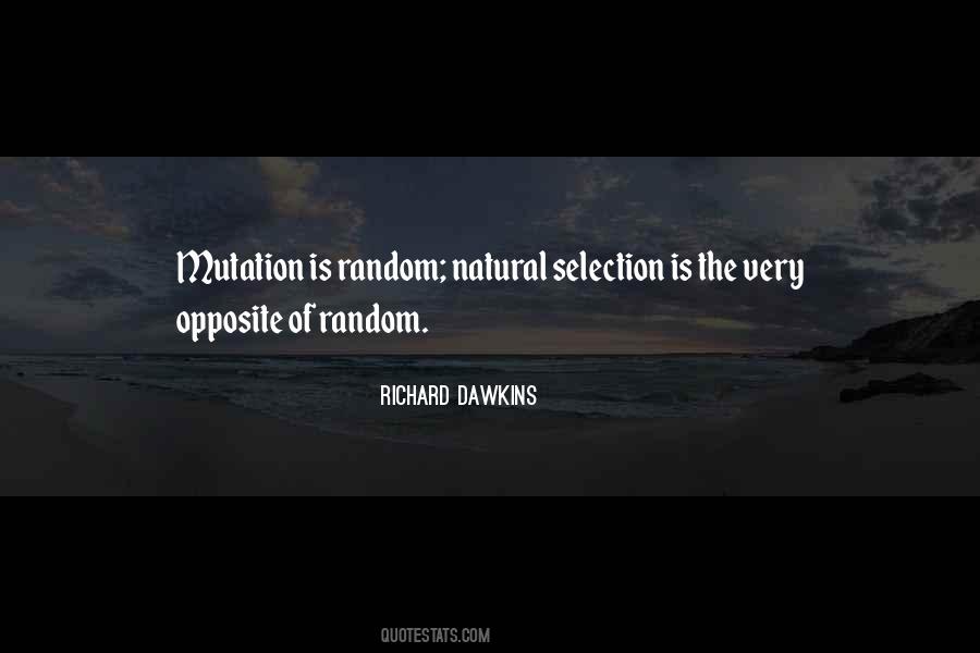 Nothing Is Random Quotes #59274