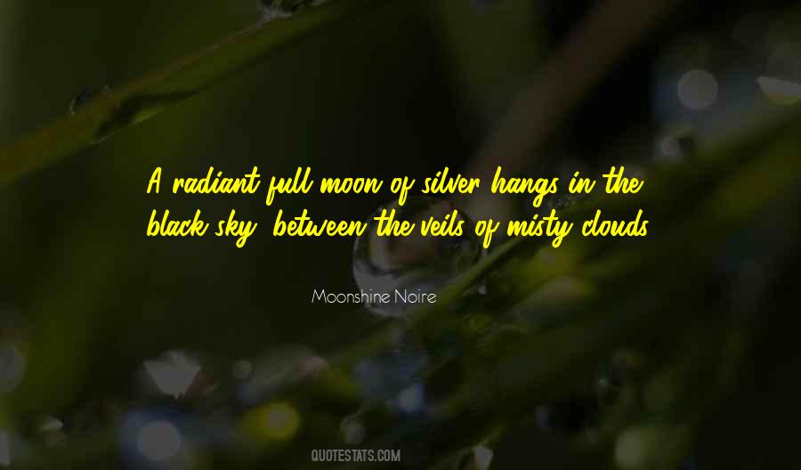 Poetry Moon Quotes #542320