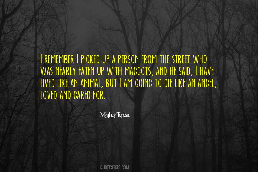 I Like Who I Am Quotes #144115