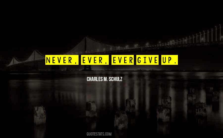 Never Ever Ever Give Up Quotes #1441881
