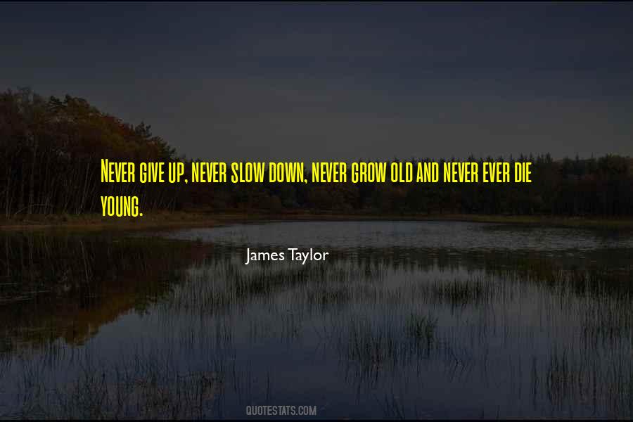 Never Ever Ever Give Up Quotes #1789529