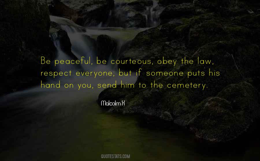 Respect The Law Quotes #645148