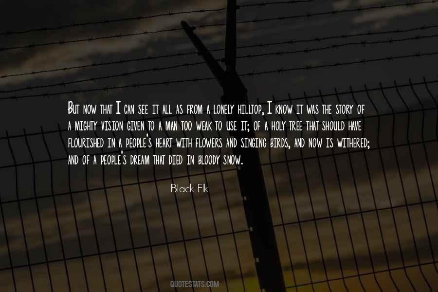 Quotes About A Man With A Vision #662141