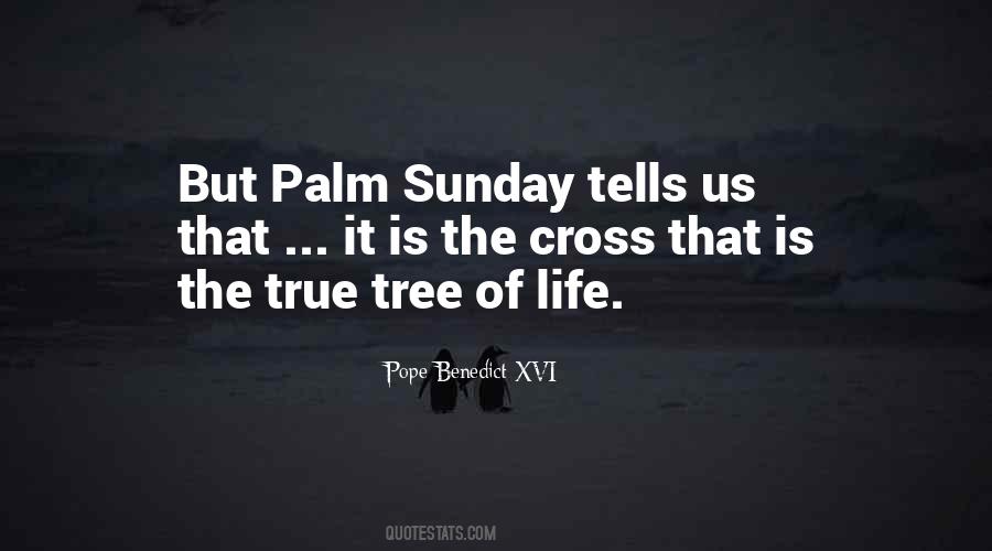 Quotes About Life Sunday #270758