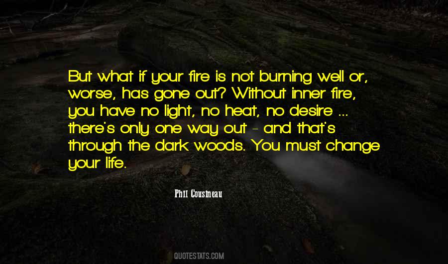 Life Without Light Quotes #1100568