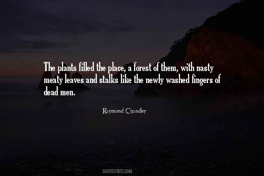 Mental Toughness War Quotes #1455655
