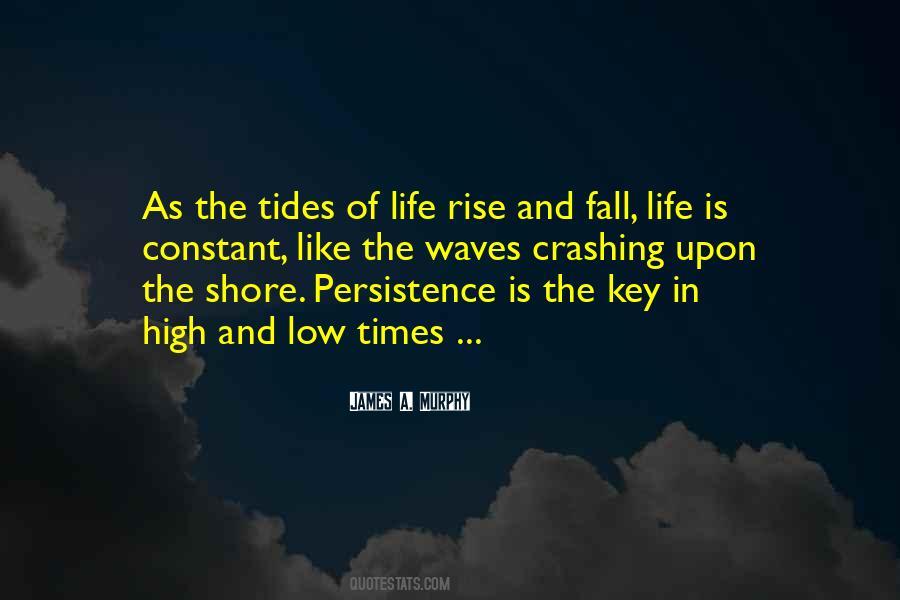 Persistence Is Key Quotes #1357274