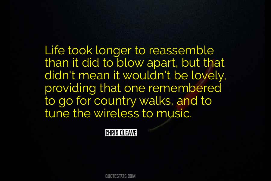 What Does Music Mean To You Quotes #28475