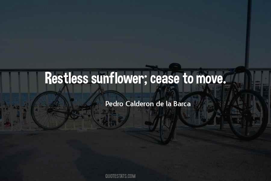 Quotes About Having A Sunflower #536751