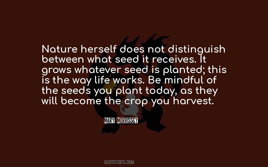 The Seed You Plant Quotes #1454983